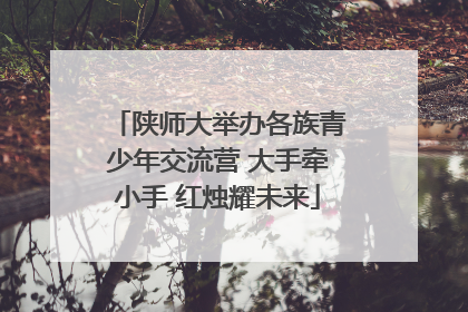 陕师大举办各族青少年交流营 大手牵小手 红烛耀未来